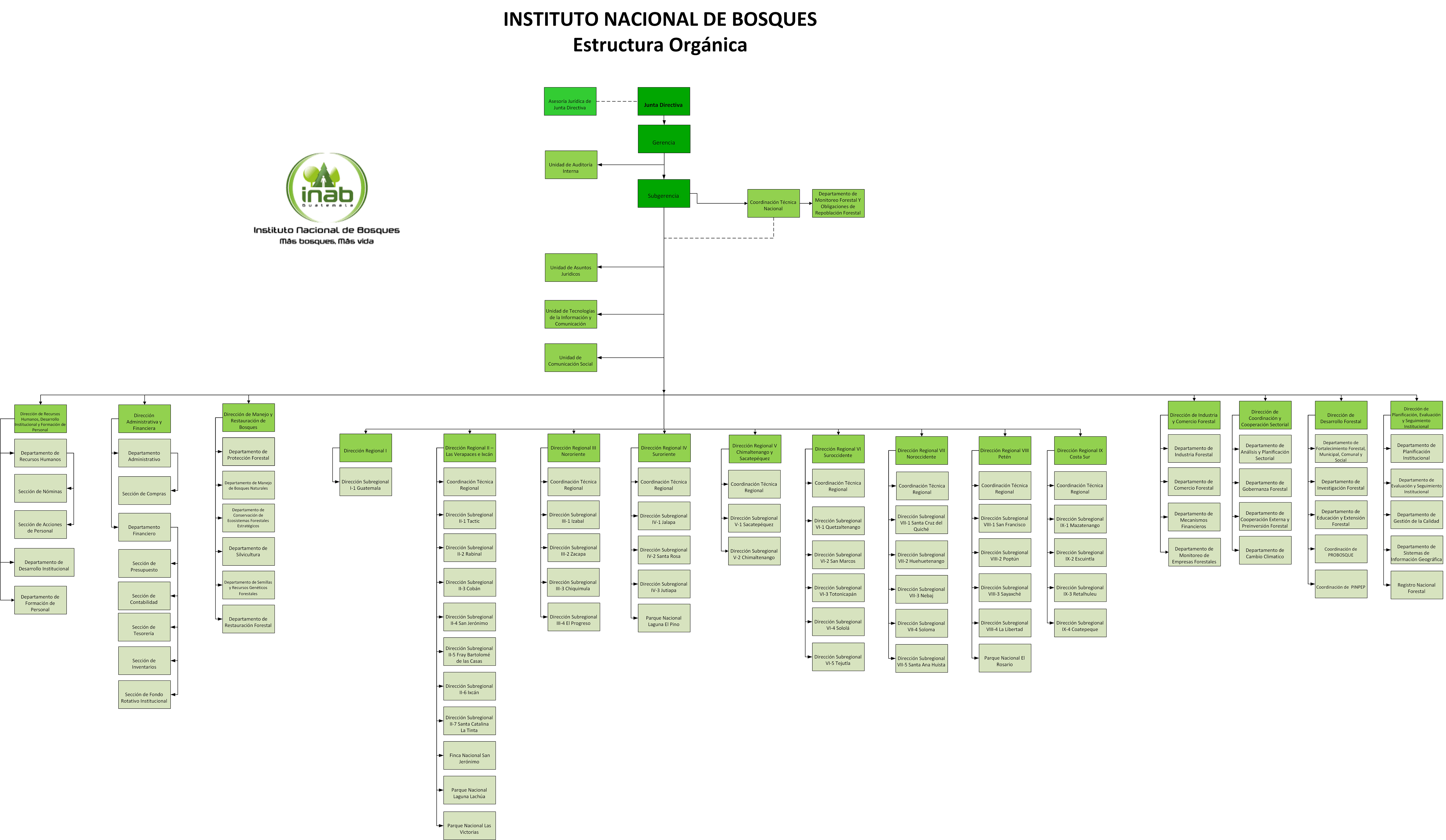 ORGANIGRAMA ESTRUCTURA ROI 2019 VFINAL