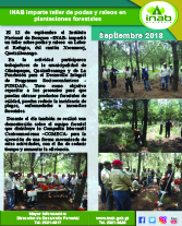 pINAB imparte taller de podas y raleos en plantaciones forestales