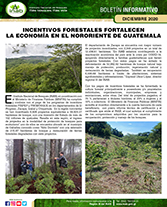 boletín incentivos forestales