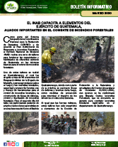 Boletin Capacitacion Ejercito contra incendios region 6