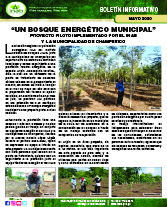 boletin energetico