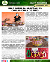 boletinACICULA portada