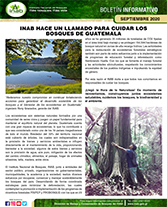 portada boletinCUIDARbosques