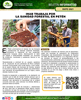 boletinSANIDADforestal