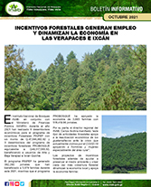 Boletín incentivos forestales