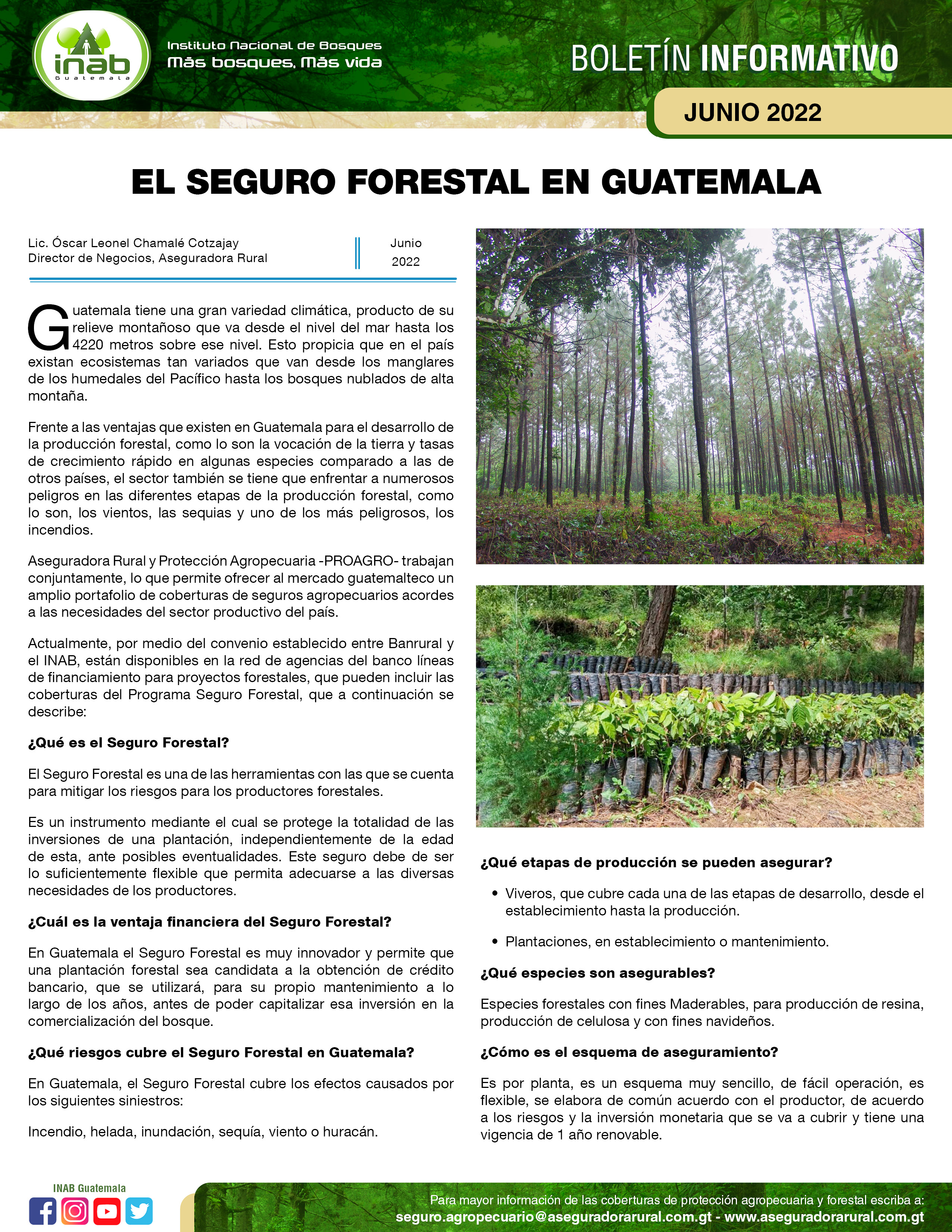 Seguro forestal