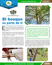 Boletín Día internacional de los bosques