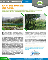 Boletín día mundial del agua