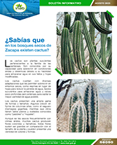 webcactus