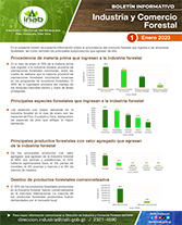 1  Boletín industria y comercio  (enero) (2)