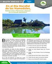 Día de los humedales