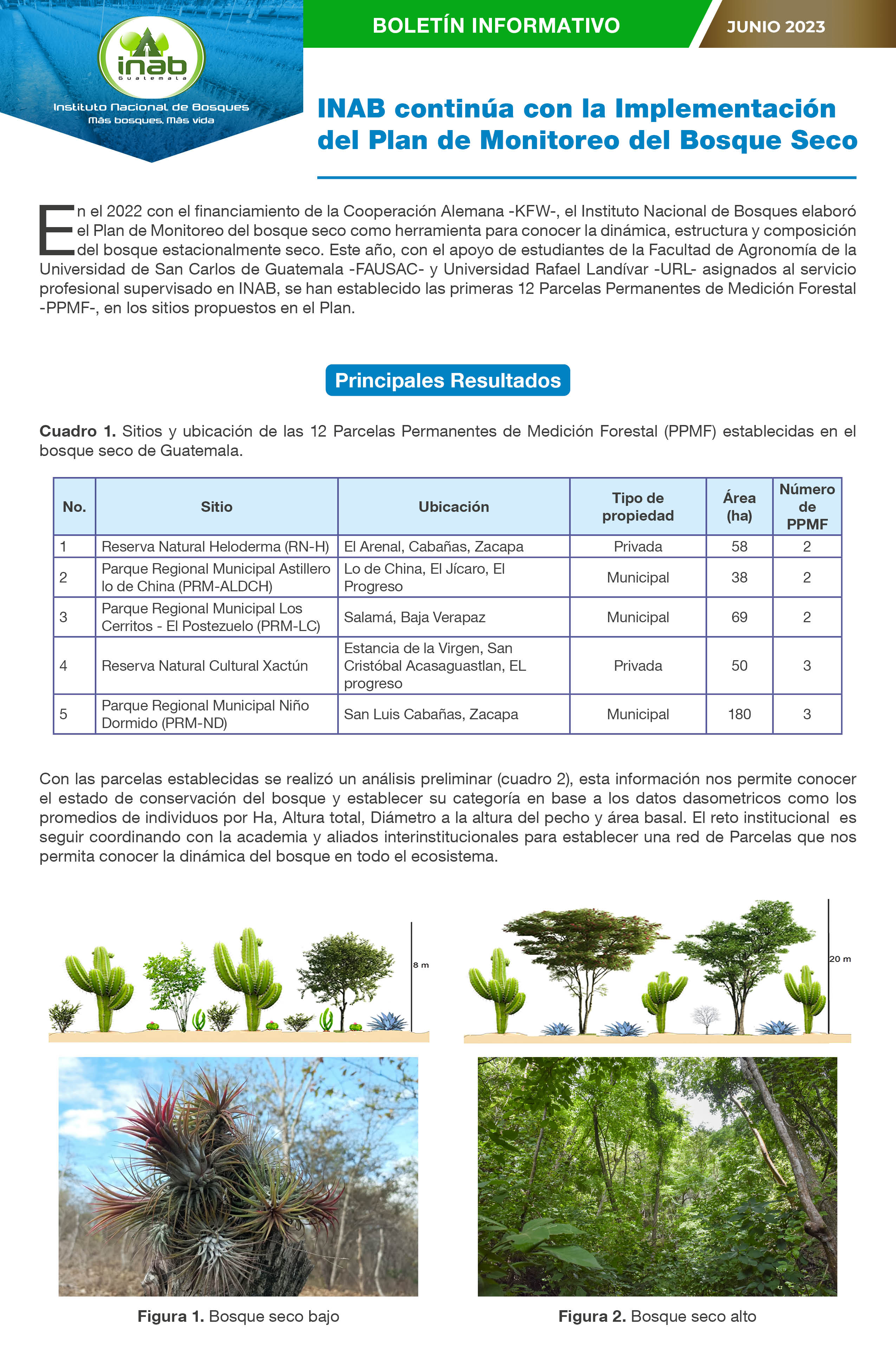 Boletín monitoreo bosque seco