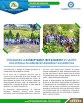PORTADA WEB Boletín Pinabete Quiché