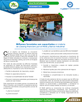 Boletín Leasing Financiero Portada web