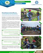 Boletín Periodistas Marquenses Portada web