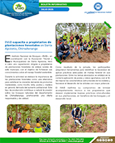 PORTADA WEB Boletín capacitación plantaciones