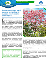 PORTADA WEB Boletín especies emblemáticas
