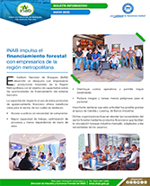 PORTADA WEB Boletín financiamiento forestal