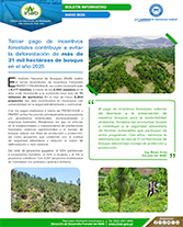 PORTADA WEB   Boletín 3 pago incentivos