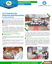PORTADA WEB Boletín PROBOSQUE Santa Rosa
