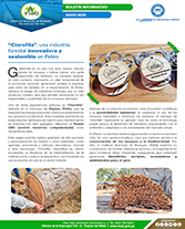 PORTADA WEB Boletín clorofila