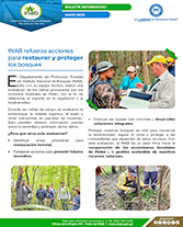 PORTADA WEB Boletín restaurar y proteger