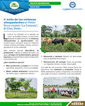 PORTADA WEB Boletín restaurar y proteger