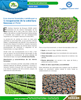 PORTADA WEB Boletín viveros