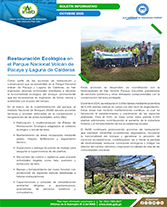 PORTADA WEB Boletín Colombia