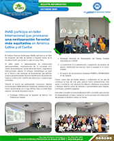 PORTADA WEB Boletín Perú