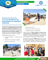 PORTADA WEB Boletín empresarios forestales