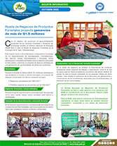 PORTADA WEB Boletín millones