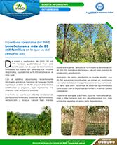 PORTADA WEB Boletín séptimo pago