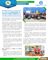 PORTADA WEB Boletín mujer indígena