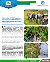 PORTADA WEB Boletín restauración pinabete