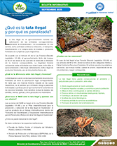 PORTADA WEB Boletín tala ilegal