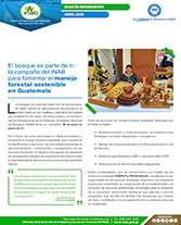 Boletín Bosque Portada web