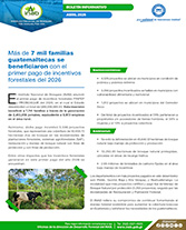 Boletín Primer Pago Portada web