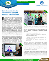 Boletín Restauración Portada web