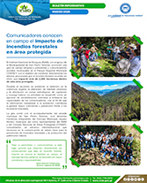 Boletín impacto incendios Portada web