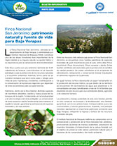 Boletín San Jerónimo Portada web