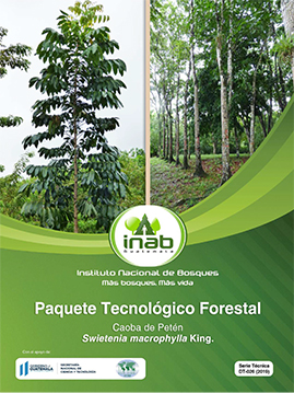 PTF CAOBA DE PETEN