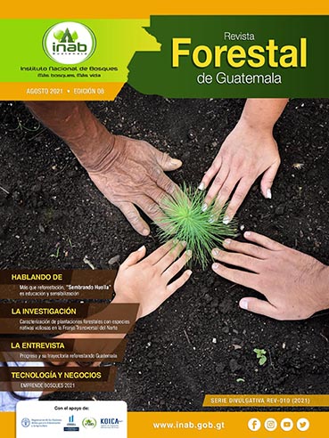 Portada 8va revista forestal